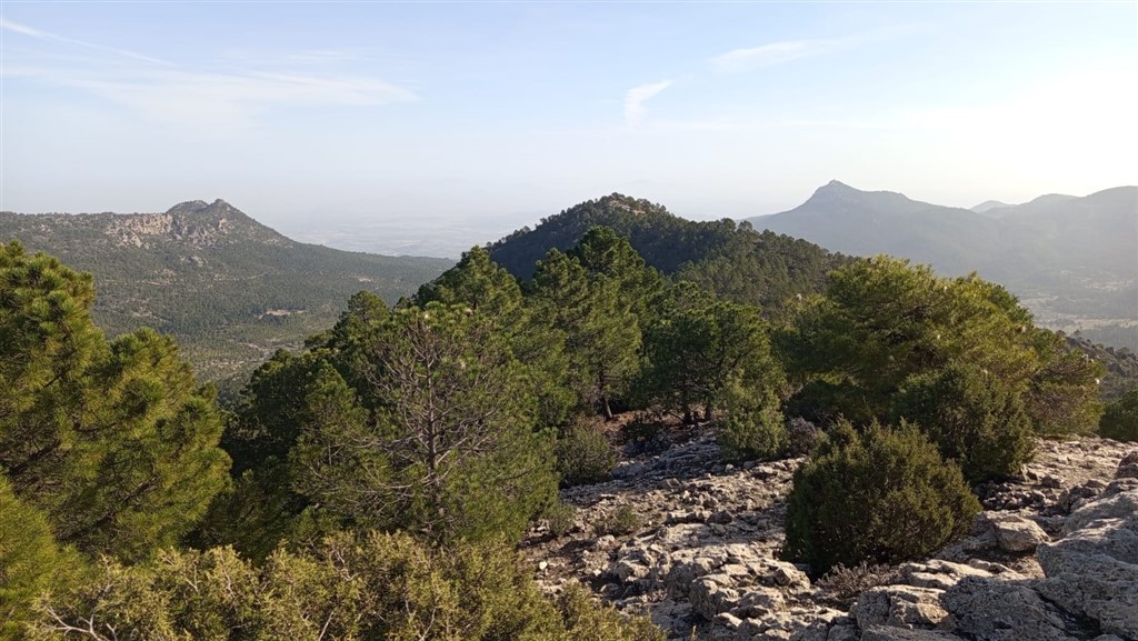 Puntal de Gorra Nogueras, 1504 m.